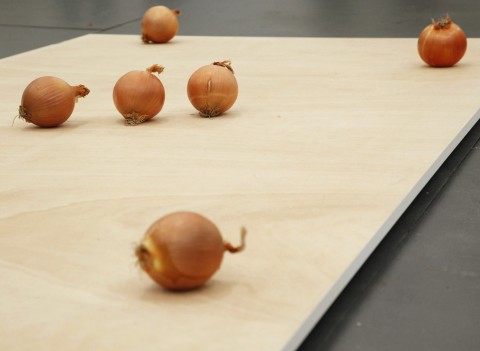 Shimabuku, Onion Onion, 2008 @ Air de Paris