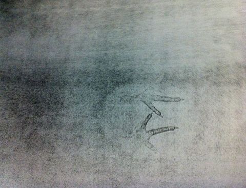 Una fotocopia con le zampe di un pulcino realizzata da Alighiero Boetti