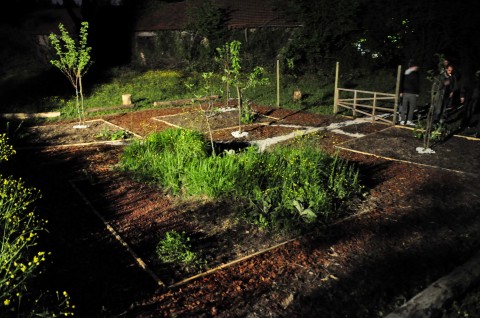 Claudio Rocchetti, Il Giardino Promesso - Appunti per una botanica manzoniana, 2013, Forte Marghera - notturna, photo Matteo Efrem Rossi