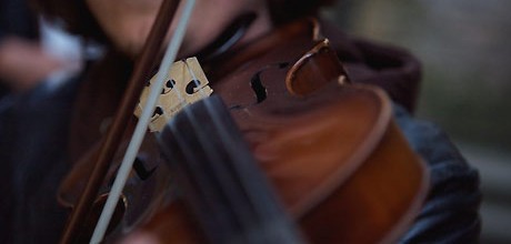 Fine Violins Fund