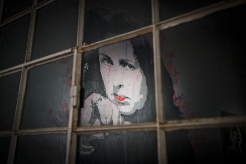 biodpi  - I am Anna Magnani - veduta della mostra presso il Lanificio Expo, Roma 2013 - photo Carmine Conte