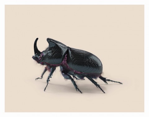 Vincent Fournier, Post Natural History, 2012