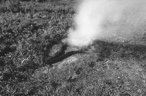 Ana Mendieta - Galleria Raffaella Cortese, Milano 2013