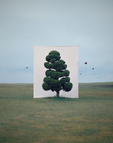 Myoung-ho Lee, Tree, 2007