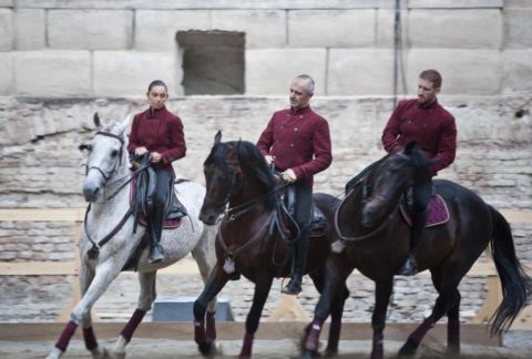 Saga. Il canto dei canti