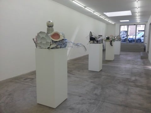 Nicole Wermers - Ostriche con Senape - veduta della mostra presso SALES, Roma 2013