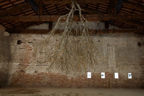 Biennale di Venezia 2013 - Padiglione Lettonia