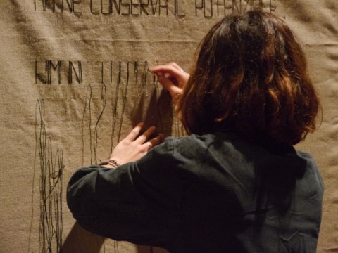 Arianna Fantin in azione a Palazzo Re Enzo