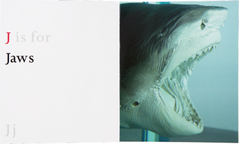 Damien Hirst, ABC - Jaws