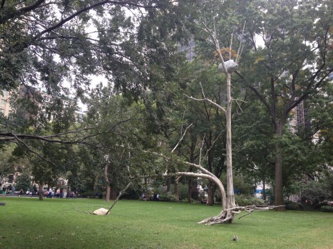 Giuseppe Penone, Idee di pietra, Madison Square Park, New York (foto Diana Di Nuzzo) 5