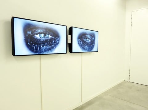 Secondo Anno. Collezione Giancarlo e Danna Olgiati - veduta della mostra presso lo Spazio -1, Lugano 2013