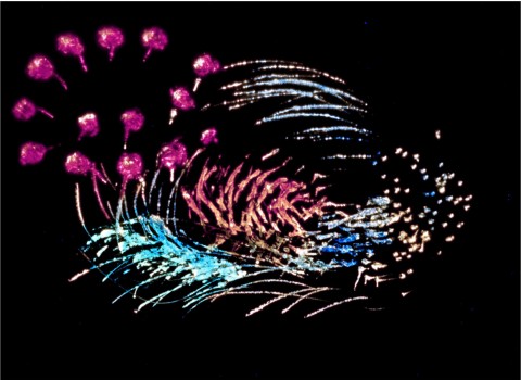 Norman McLaren, Blinkity Blank, Canada 1955