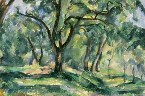 The Forest, uno dei Cézanne di Washington