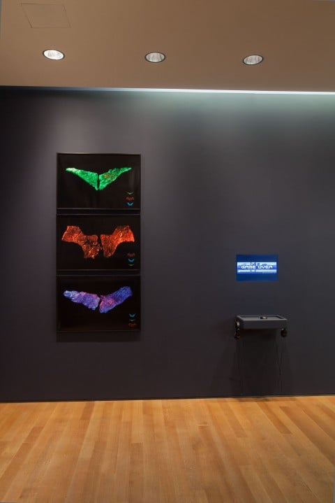 Applied Design - veduta della mostra presso il MoMA, New York 2013 - photo Jason Mandella