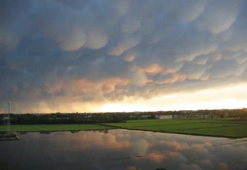 Milano, Parco dele Risaie