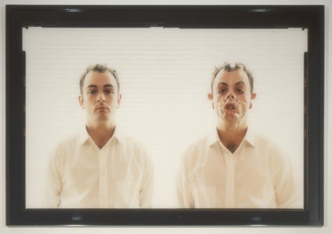 Douglas Gordon, Monster, 1997 - Collezione FRAC Haute-Normandie - photo Marc Domage