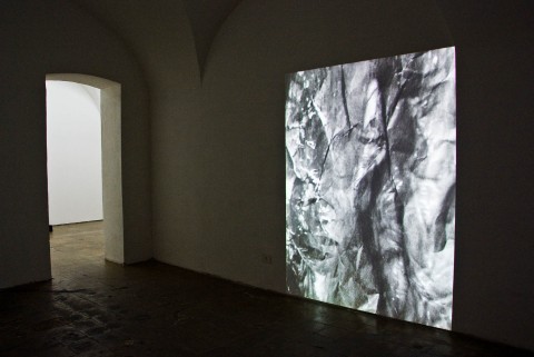 Nicola Pecoraro, Society, 2013, digital slideshow - photo Stefania Di Filippo