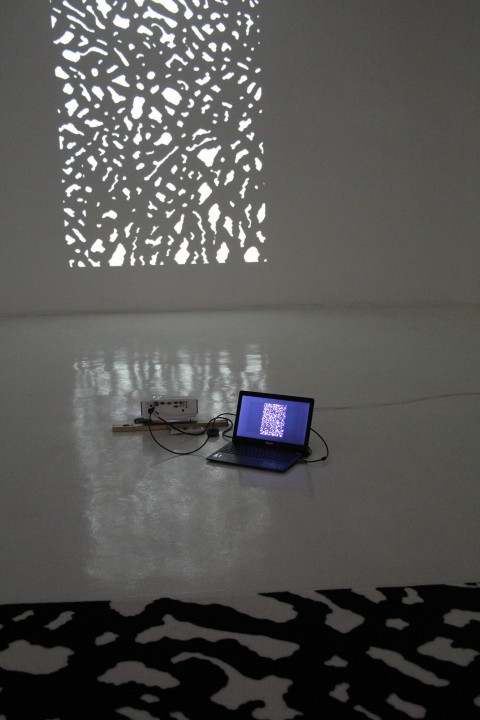 Gianfranco D’Alonzo – Land of prayer Alias - veduta della mostra presso lo Studio Casagrande, Roma 2013