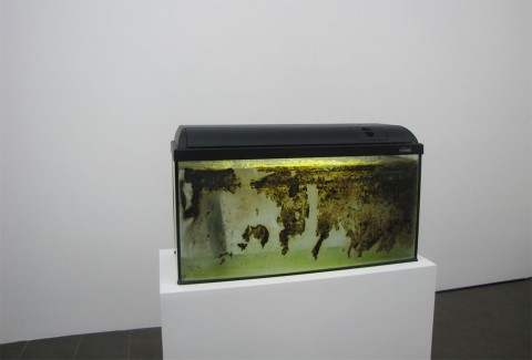 James Krone - Waterhome: we is somebody else - veduta della mostra presso la Brand New Gallery, Milano 2013