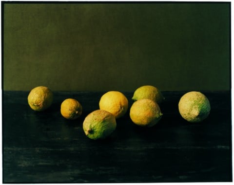 Patrick Faigenbaum, Citrons, Santulussurgiu, 2006 - courtesy l'artista