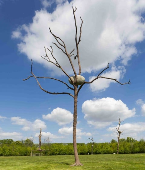 Giuseppe Penone - Versailles, Parigi