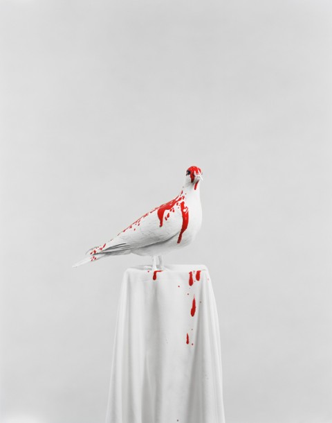 Julia Krahn, Taube, 2013