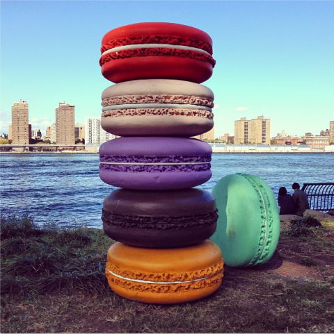 Daisuke Kiyomiya, Macaroons