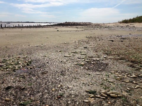 Dead Horse Bay - photo Rodrigo Braga