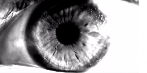 2x4, Eye Test, 2013