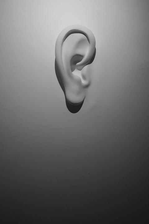 Felice Levini, La pulce nell’orecchio, 2013 - photo Claudio Abate