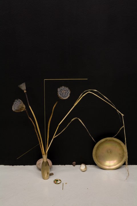 Luca Francesconi, Untitled, 2010, installazione con ottone, loto, pietra, vetro, orzo, dimensioni variabili