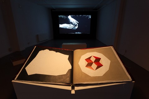 Mariana Caló & Francisco Queimadela, Chart for the Coming Times, installation view, Rowing, 2012