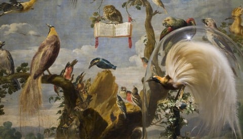 Museo del Prado, Miguel Ángel Blanco e Frans Snyders (foto Pedro Albornoz, Museo del Prado)