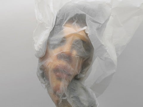 Rupert Shrive, Nebula, 2011, acrylic on paper, polyurethane, papier de soie, 52x37x22 cm, from the “Veiled Sculptures” series