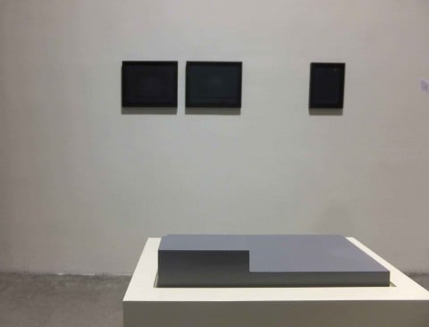 Urs Lüthi / Agne Raceviciute - veduta della mostra presso Viafarini Docva, Milano 2013