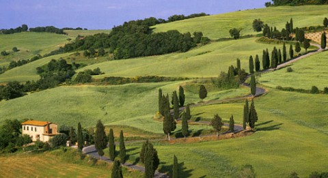 Il "tipico" paesaggio della Toscana