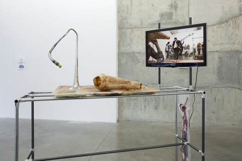 Benjamin Valenza - Circa Circa: Caanteen Aabuufaataa - veduta dell'installazione presso Fluxia Gallery, Milano 2013 - photo Andrea Rossetti