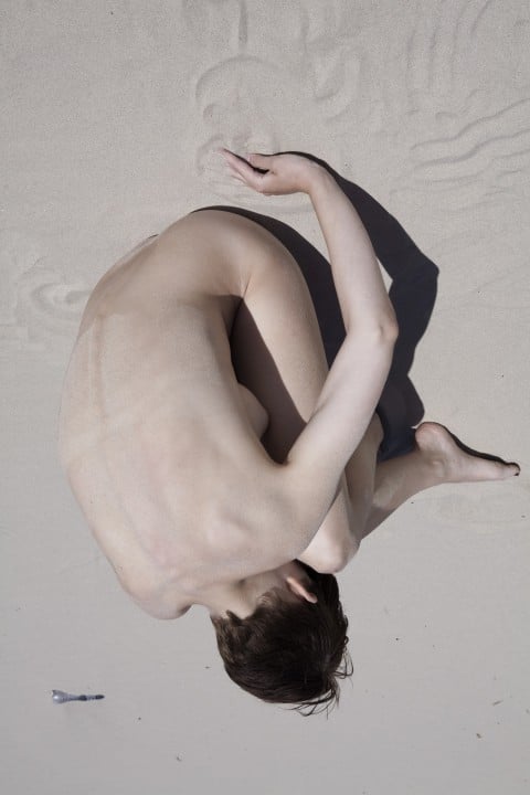 Viviane Sassen, Nest, 2010, from the Sol & Luna series