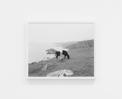 Lamberto Teotino, Wormhole - Dino Morra Arte Contemporanea, Napoli 2013