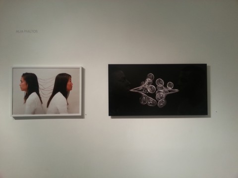 Alia Pialtos @ Phoenix Gallery