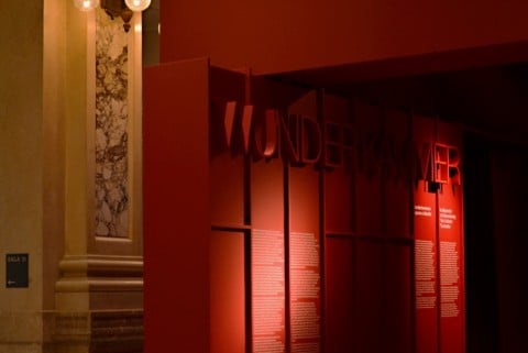 Wunderkammer. Arte, Natura, Meraviglia ieri e oggi - veduta della mostra presso le Gallerie d’Italia, Milano 2013