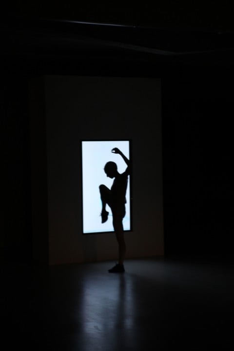 Wayne McGregor @ Collezione Maramotti, Reggio Emilia 2013 - photo Dario Lasagni