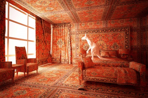 L'opera Cangaroo in the bedroom dell'artista Farid Rasulov