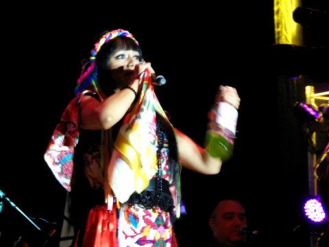 Lila Downs, Pecados y milagros 