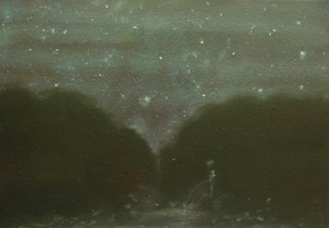 Thomas Braida, Pisciatina notturna, 2013, olio su tela, cm 20x30
