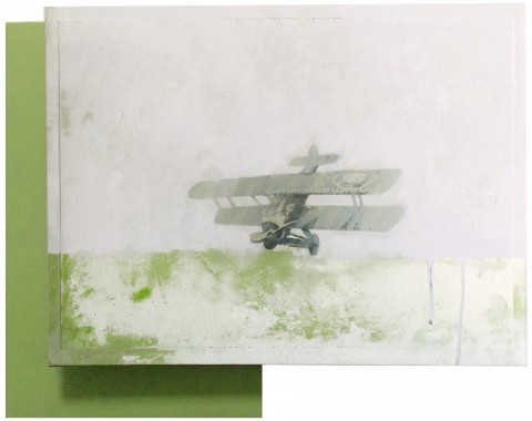 Alessandro Procaccioli, Aeroplano verde