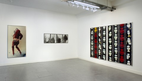 Tranformer: Aspect of Travesty - veduta della mostra presso la Richard Saltoun Gallery, Londra 2013