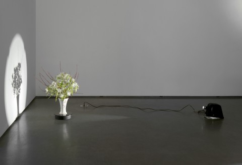 Corin Sworn, Temporal Arrangements, 2010-present - Courtesy of the artist and Kendall Koppe, Glasgow