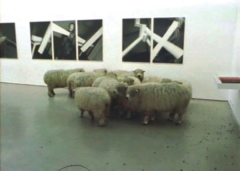 Christian Jankowski, Flock, 2002