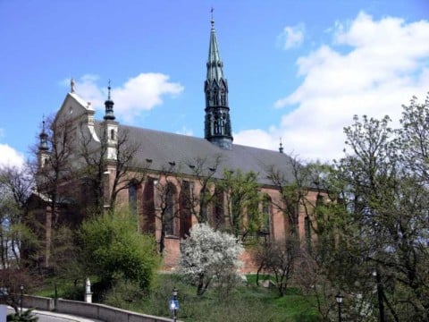 La Cattedrale di Sandomierz